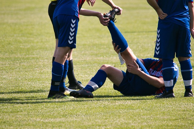 svalovy krc